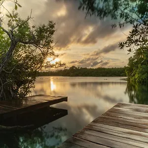  Lodge Yaxchen & Cenote Mexique